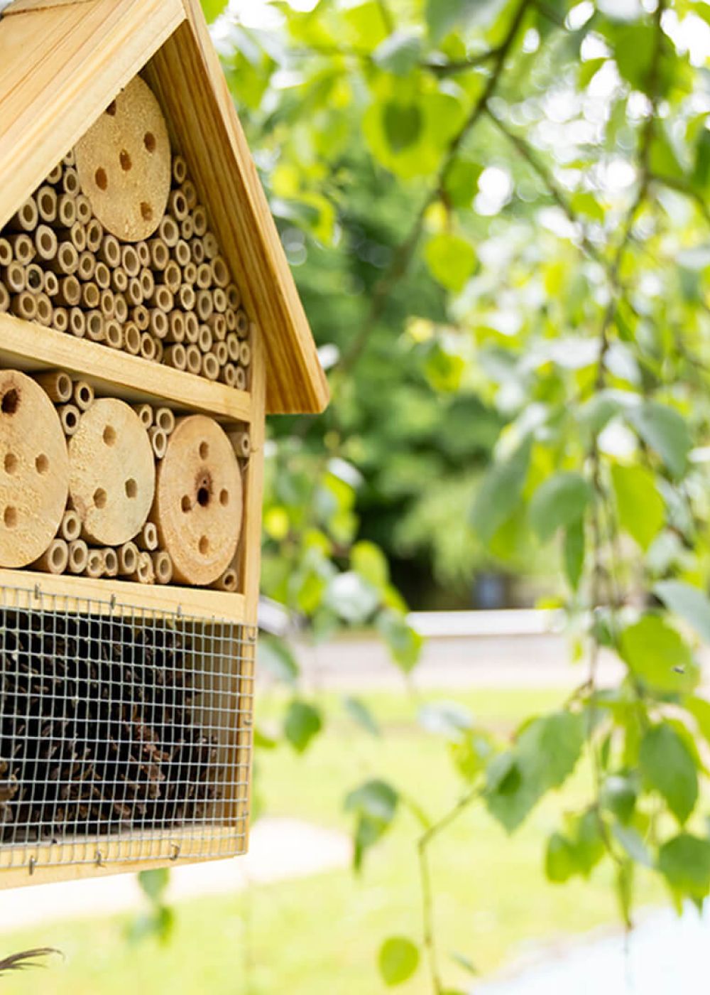 Naturpädagogischen Kinderhauses in Bad Bibra