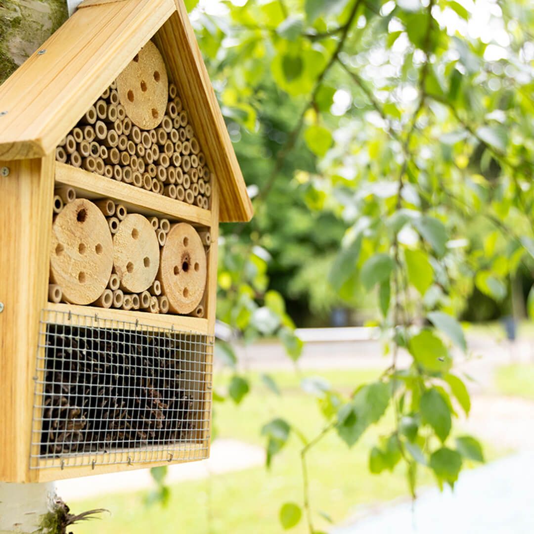 Eröffnung Kinderhaus - BUK Burgenlandkreis